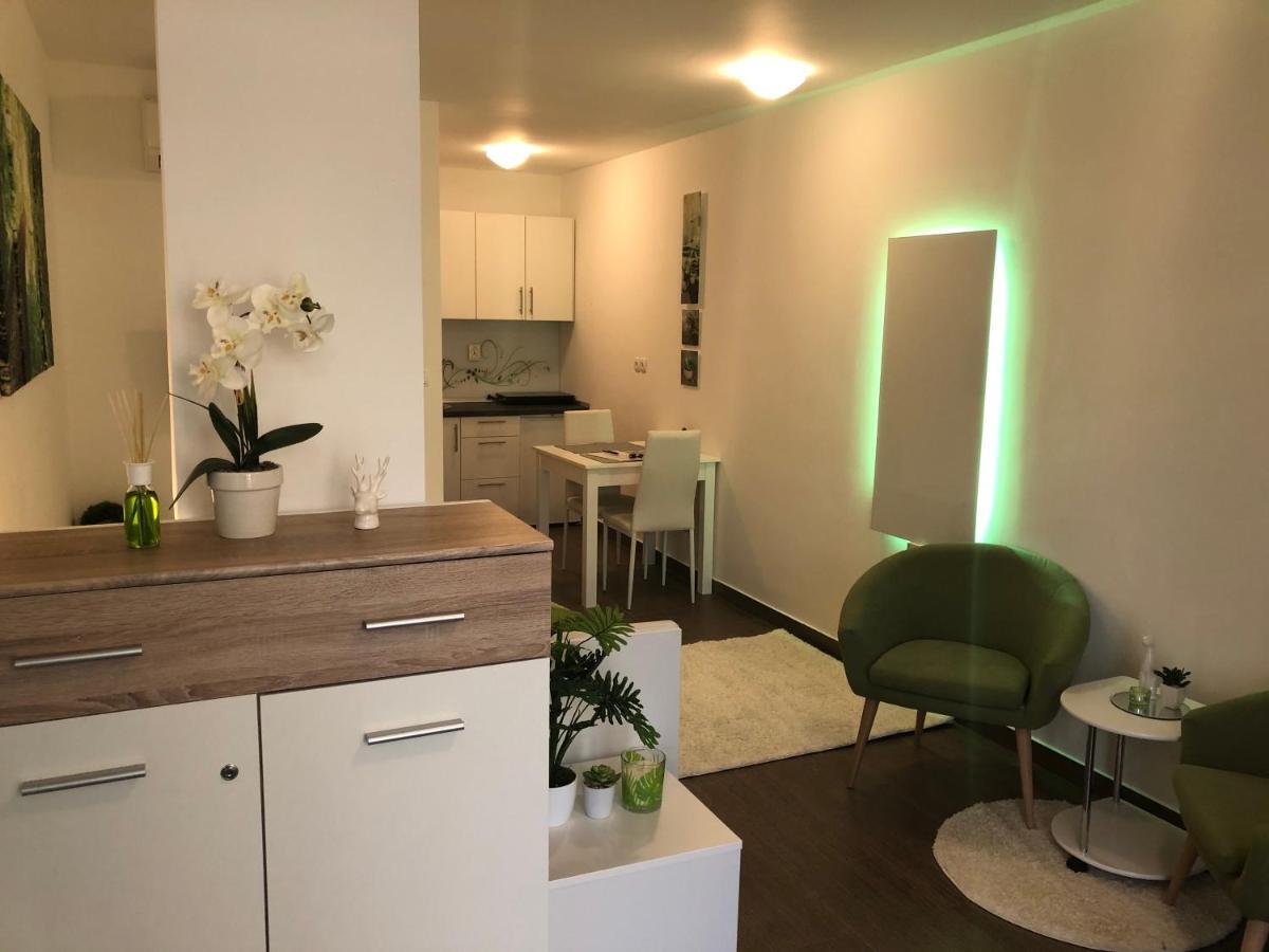 Luxury Central Studio Under The Castle Apartment Ljubljana Luaran gambar