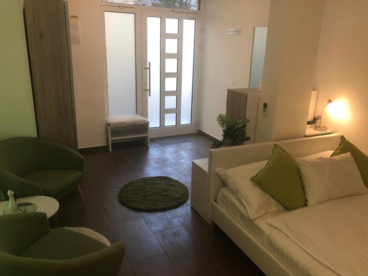 Luxury Central Studio Under The Castle Apartment Ljubljana Luaran gambar